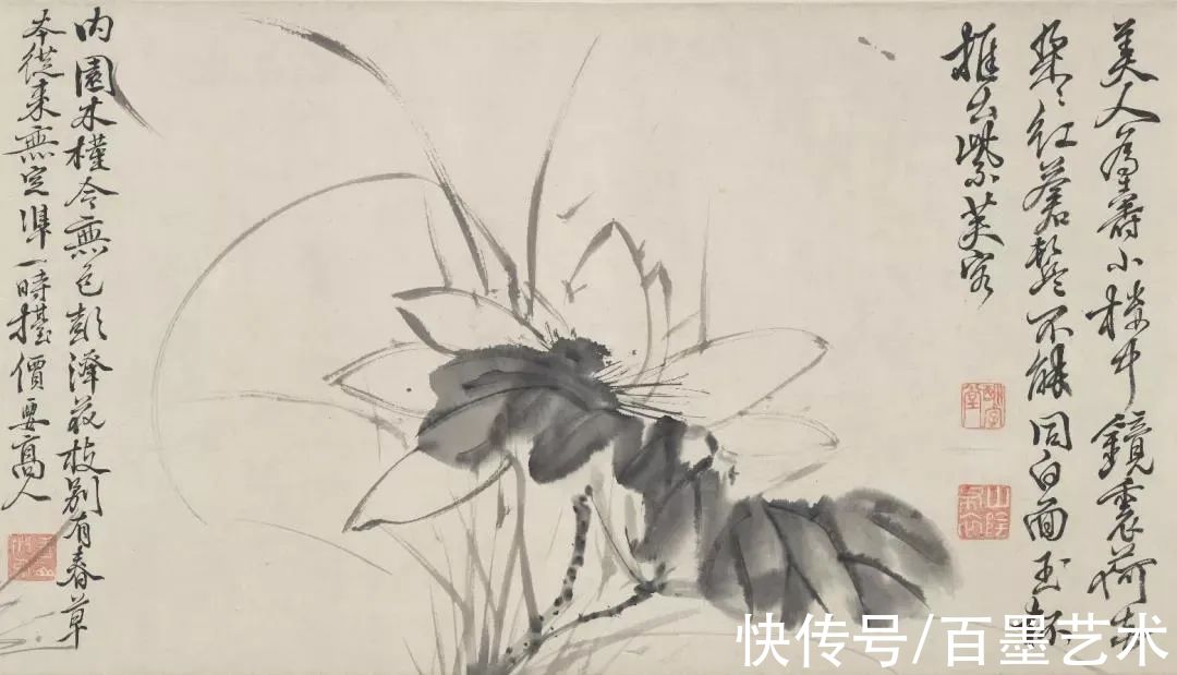 明朝@青藤白阳：明朝花鸟两大高峰