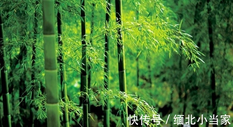 这首诗&王维很经典的1首绝句,如果现在参赛,未必能获奖,你觉得呢?