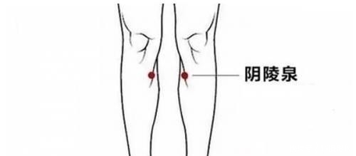 穴位|体内有痰湿的人切记3类食物一定少吃3个穴位多按痰湿远离