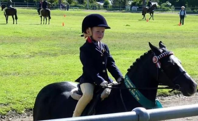 大脑|先让娃四肢发达起来,他的大脑才会更给力