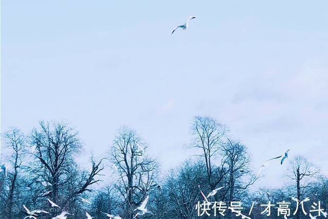 雪夜$看看10位名家笔下的雪景，太经典了！