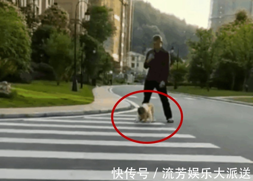 爷孙俩|孙子绊倒了,爷爷并没有立刻抱起,而是这样的一个举动引网友称赞