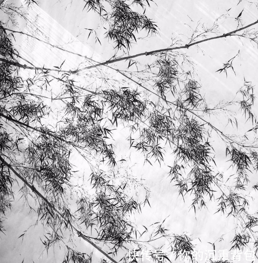 冷军的油画竹子和90后大叔池静山笔下的墨竹,你更喜欢哪个呢
