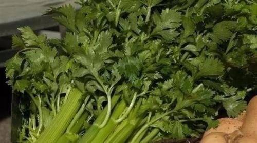公分|炒芹菜不能放此物,吃了就是没病找病!却还有人不清楚