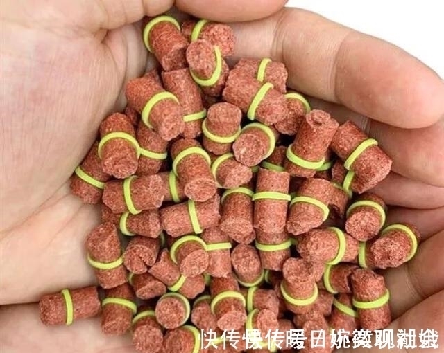 鱼口|别再相信蚯蚓是万能饵了，夏天这样用饵，渔获少不了
