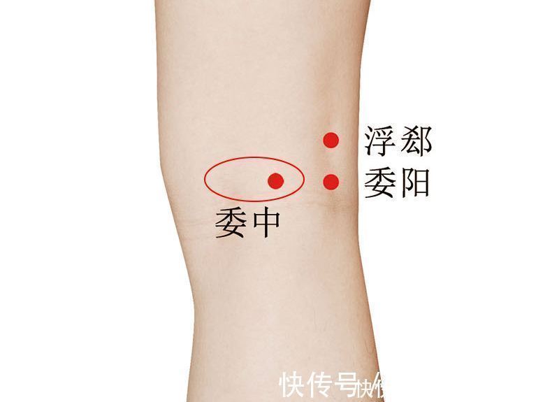 生殖系统|华佗松筋健康法夹脊穴养护心肝脾肺肾,比膀胱经的作用更明显