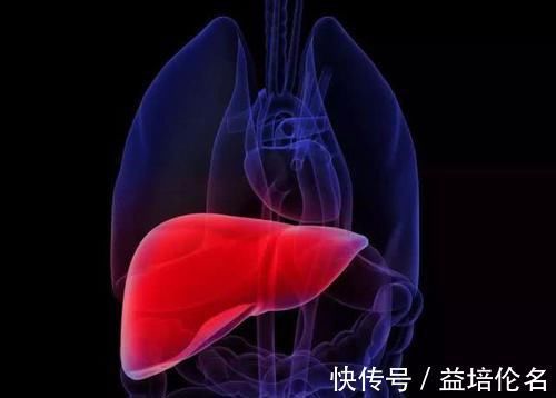 胆囊|经常失眠、多梦、口干、口苦？这三个原因是“幕后推手”，要注意