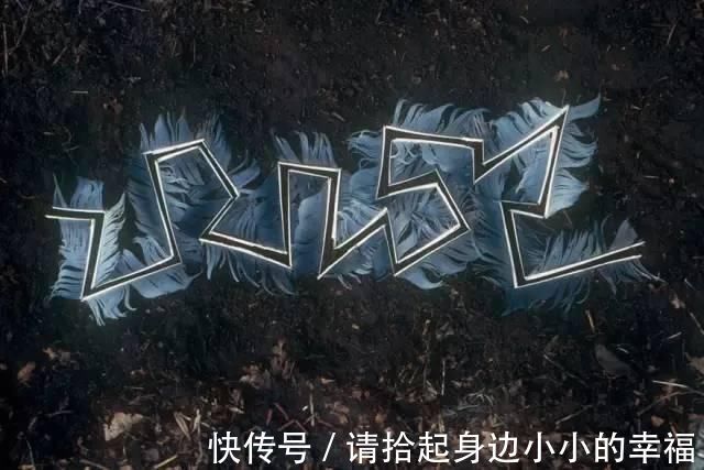 艺术家|他用最简单的树叶、石头、羽毛,建了一座美到极致的自然美术馆