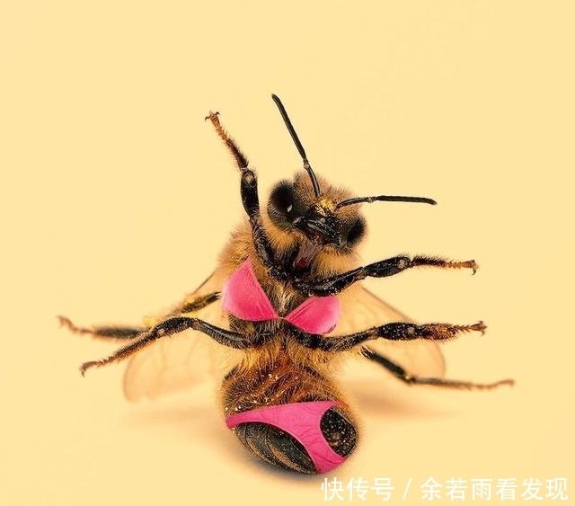 人人都会PS,你和大神的差距只不过是脑洞而已