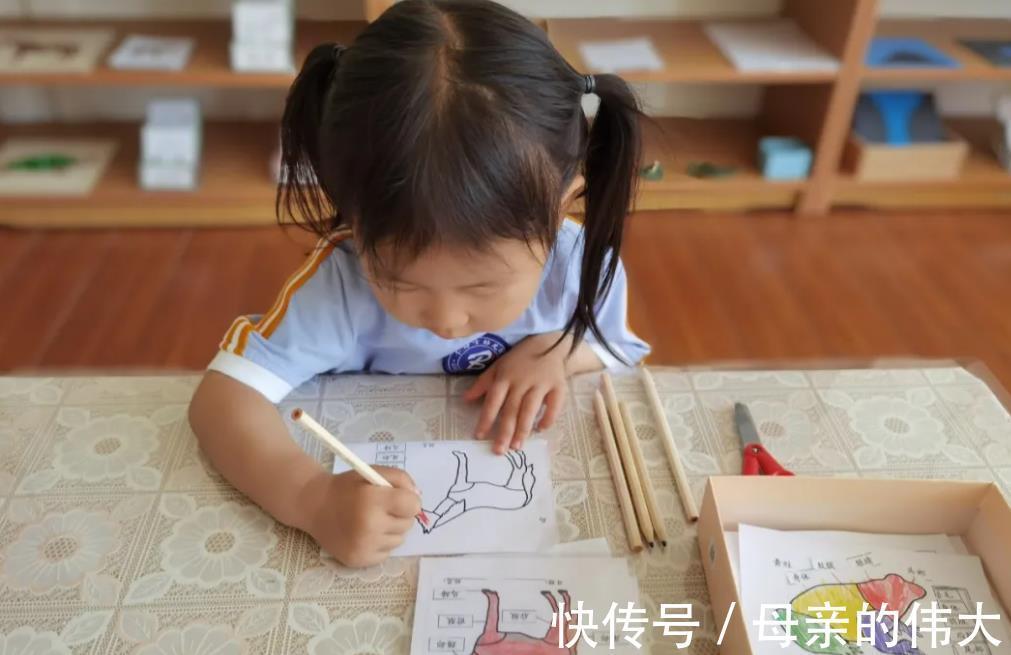 阿力|6岁前不给孩子立规矩,再好的教育都是无用