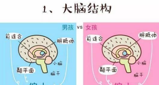 别一直伤害我们的男孩!给父母养育男孩的5条建议