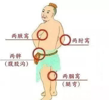 桂圆肉|伏天是补阳、祛痰湿的好时机，这3招，阳虚、痰湿重的人别错过！