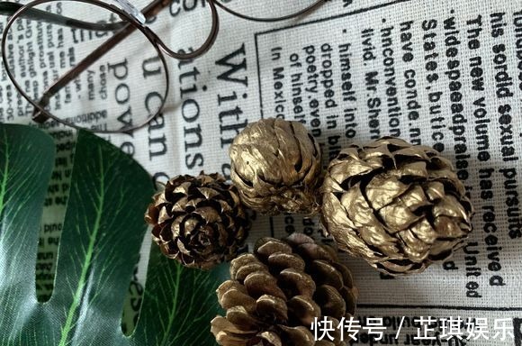 石头野草捡回家,胶水一粘变盆栽,比买的还好看!