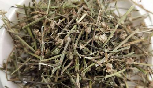 癌症|癌症“特效草”找到了,野外“随处可见”,治癌防癌赶快吃起来