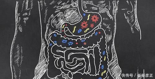 肠道菌群|便秘了,吃什么能排空肠道2菜1水你若爱吃,便秘走远
