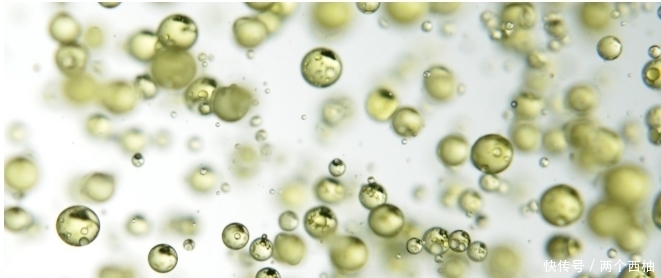 40岁的女性如何科学优雅的抗衰老,做好这四件事,你就是女王