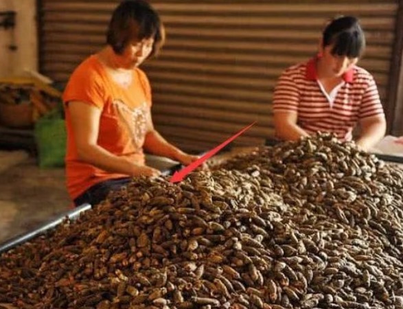 零食|曝光“一级致癌物”，别再当“零食”吃了，当心“丢命”！