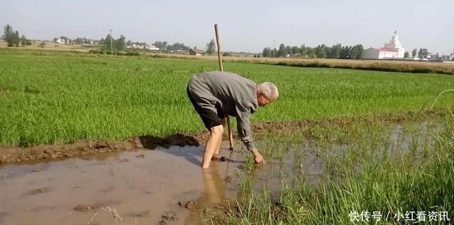  老祖宗|“有钱不进三地，没钱莫进两人”，牢记老祖宗的忠告，受益无穷