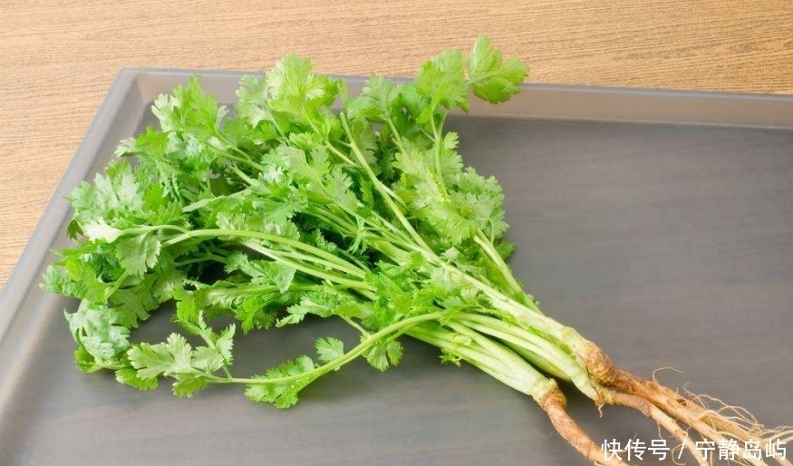 香菜煮水太厉害了,竟有如此喜人的作用,值得分享给家人