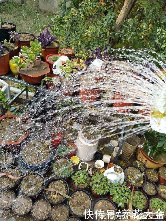 可乐的5个妙用，很多人还不知道，现在看还不晚