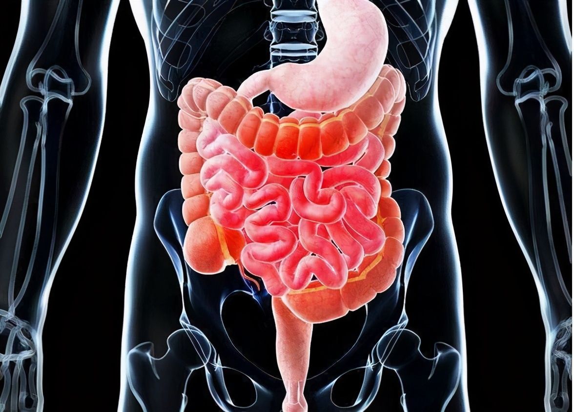 牛肉|入睡前分别吃了半斤牛肉和半斤素食的两个人,哪个人早上体重轻?