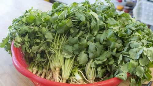 香菜不要当配菜了，农村姑娘教你1个新吃法，喝粥拌饭都是绝配