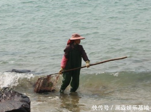  素菜|它形似龙须，生长在海边石头上，曾被喂鲍鱼，今成“素菜之珍”