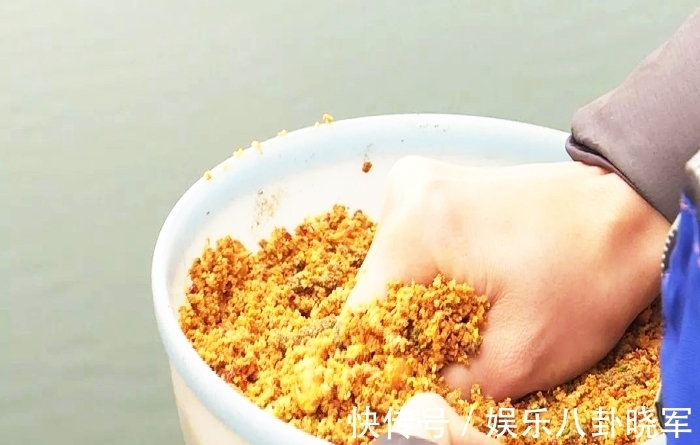 钓友|每次钓鱼都用这个方法,从来没有“空军”过,屡试不爽