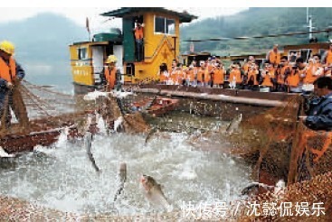 三峡|当年丢进三峡的近万条鱼苗，现在如何了外媒不得不服