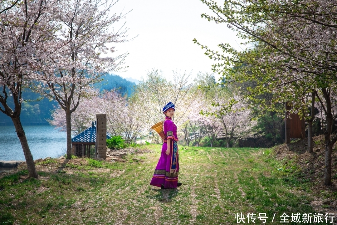 源头|人人都道赏樱去武大,殊不知真正的赏樱好去处是武汉黄陂的锦里沟景区