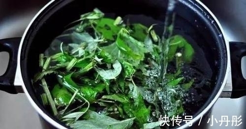 助益|这菜不要钱,入春抓紧吃,能够提高免疫力,可惜很多人懒得做!