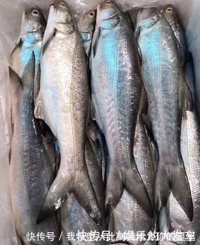 鱼肉|这鱼是鱼中精品,口感鲜香嫩滑,鱼刺少营养高,老人小孩宜多吃