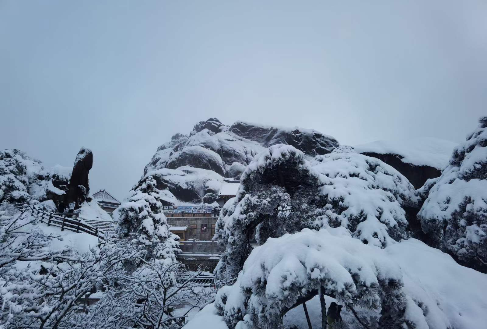 旅游通道|黄山风景区大雪成景，旅游通道畅通