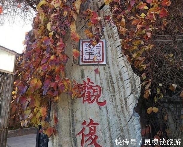 贾宏伟|马未都:媳妇不同意搞收藏,我从家里随便拿了一个瓶子,卖了25万