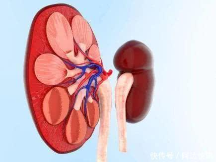 排便时，大便经常“前头干硬，后边软粘”，可能是3种病找上门了
