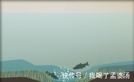 池塘|钓鱼技巧大全,湖泊池塘,钓鱼人如何选择你的钓点