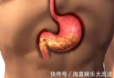 肠炎者|自己“晒干”的蒲公英,能当茶泡水喝吗有什么“禁忌”吗