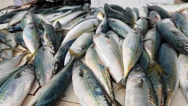 腌腊鱼，最忌讳直接晒，记住5要点，鱼肉紧实香味足，耐放不发霉