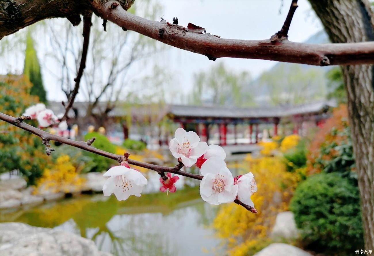 华清池风景秀丽，真是个旅游胜地