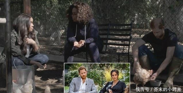 梅根耳环升级记,从100元小众品牌到3万元钻石耳环,喂鸡也要显摆