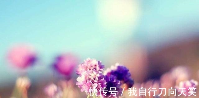 巨蟹|十月底，芳心暗许，誓言散落，旧情解封，深情出手，矢志不渝