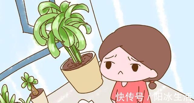 刚装修完的房子,孕妈多久才能入住?很多人都做错了