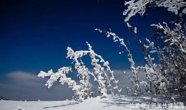 重庆周末去赏雪：新一轮降温后，雪漫人间！这些地方都可以赏雪