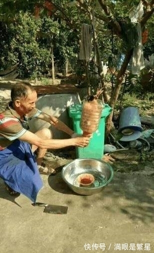 农民大叔自己发明的简易杀鸡工具，轻松解决一只鸡！