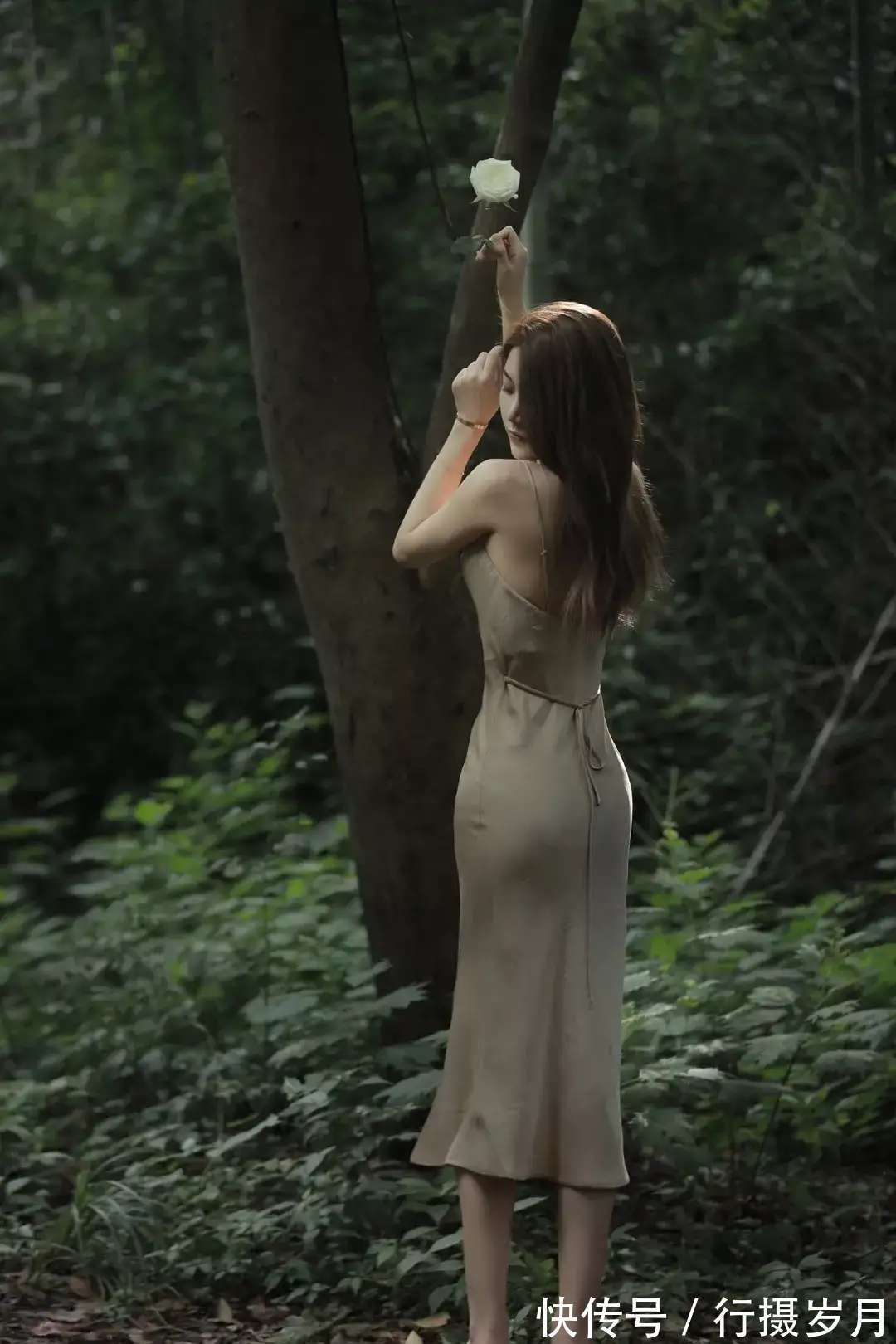 山之巅#相思一度,浓愁几赋