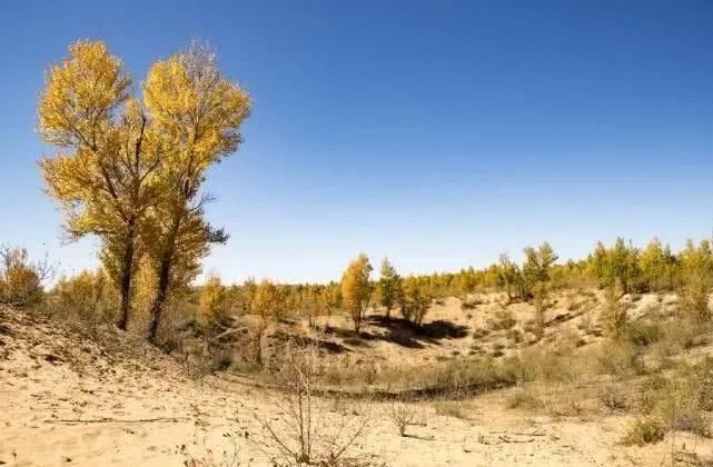 绿水青山|绿水青山就是金山银山