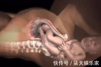 产妇|胎儿出生前都在忙什么组图播放全过程,着急见爸妈的样子真可爱