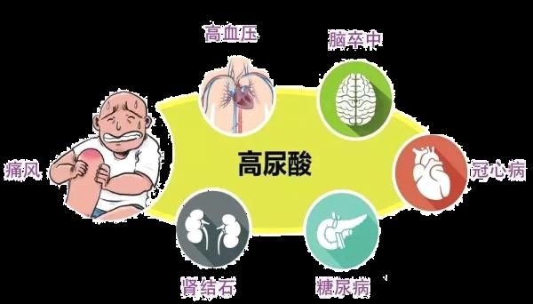 尿酸一高，肾病、痛风排队来！关于尿酸，你需要全面了解下！
