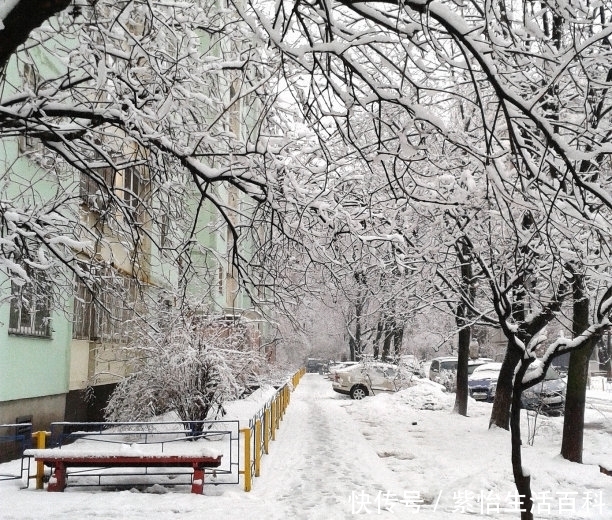 农事|今年冬天什么时候数九?2021年为什么叫“盲春年”,老农说农事