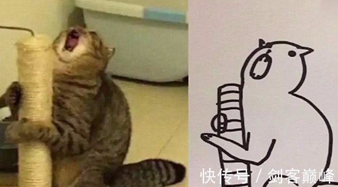 爪子$美术生画猫遭老师批评，可看到最后，老师抱歉，是我错怪你们了